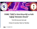 PANEL 